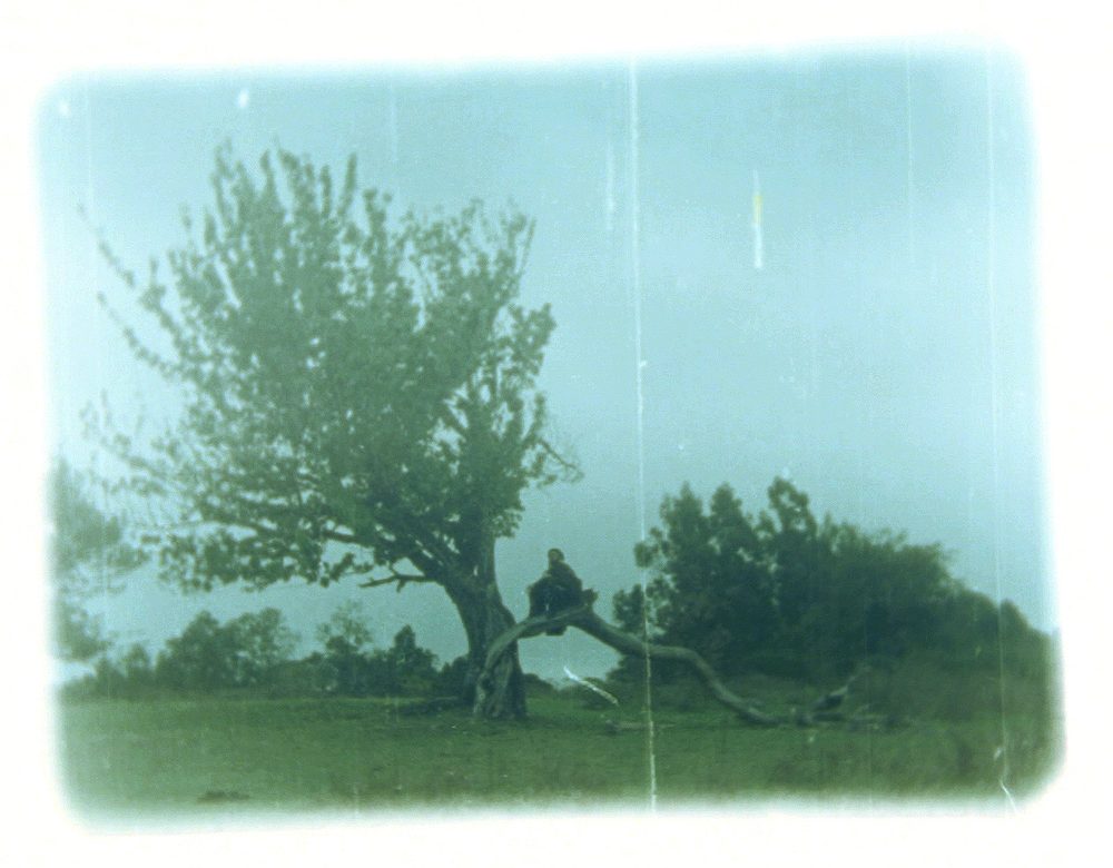 Photograph