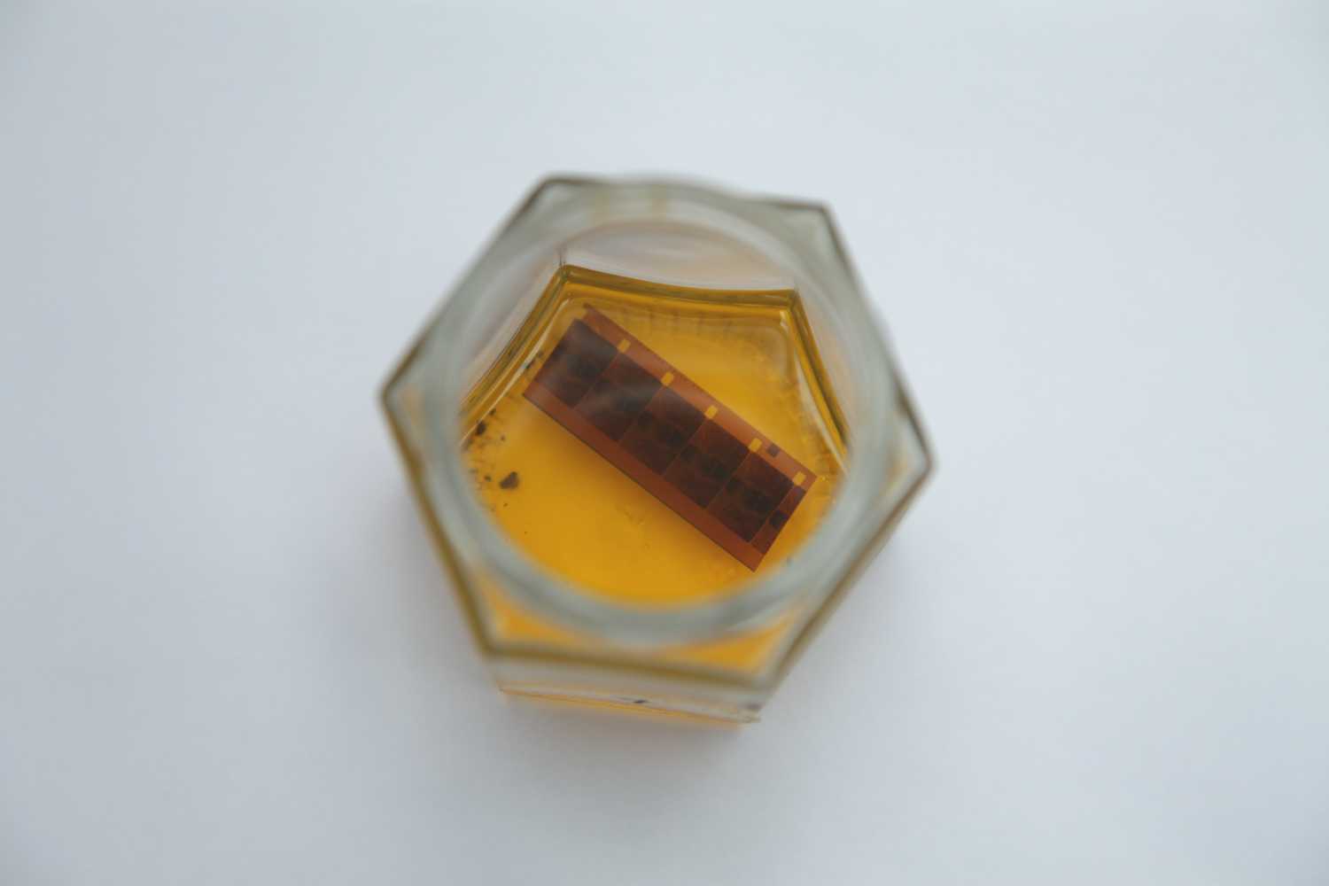 7- virginia oil / aceite virginia (2 weeks / semanas)