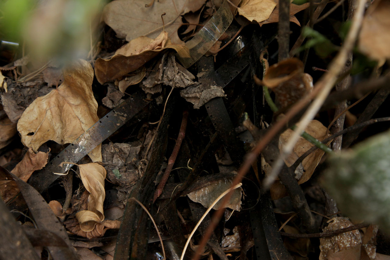 (3) Burials: February 2012