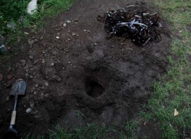 Burials 3,4,5 & 6 (March 2012)