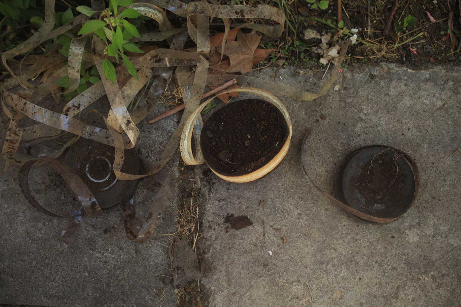 Unearthing 7 (Nov 2013)