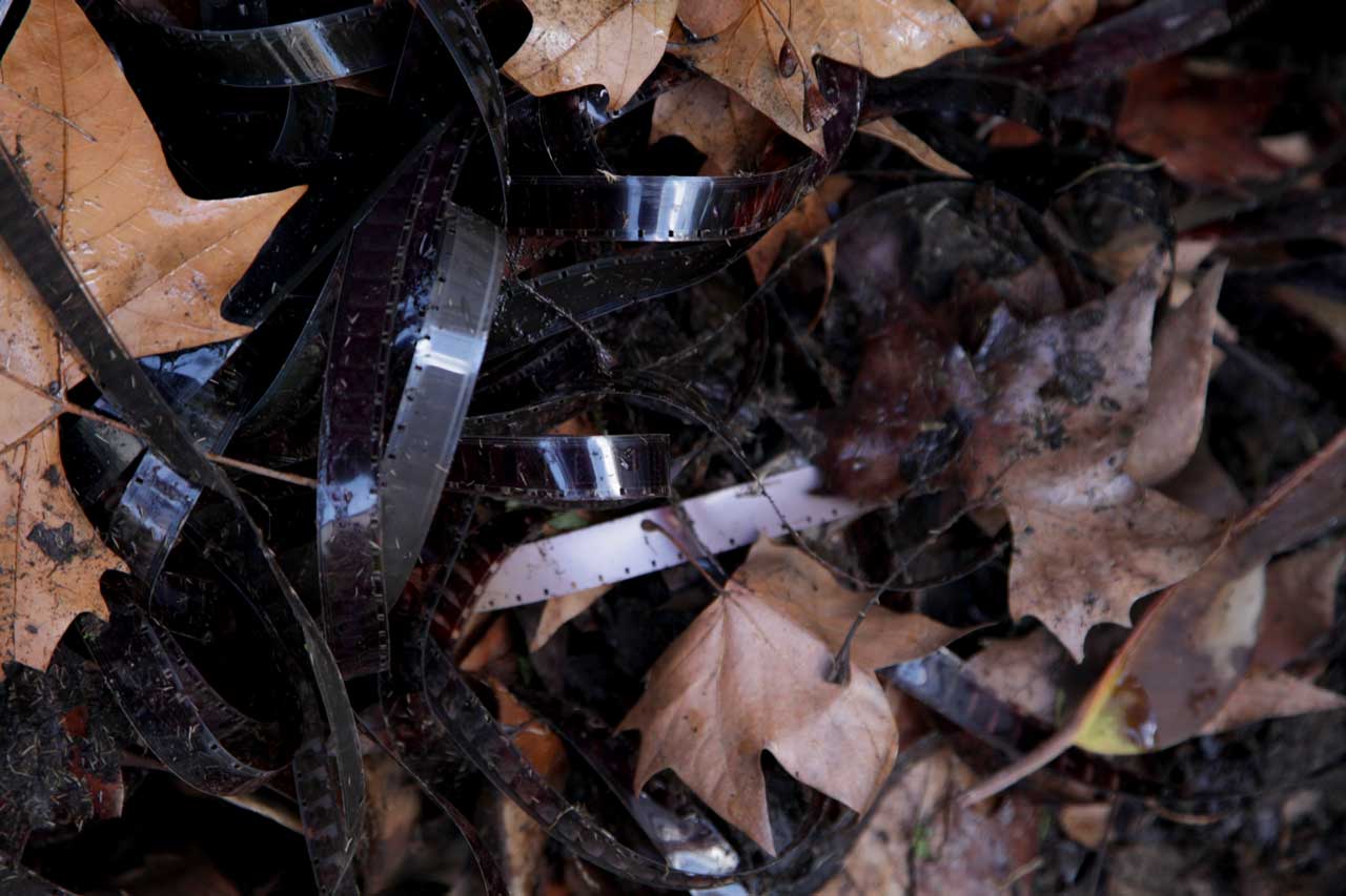 Burial 2 (August 2011)