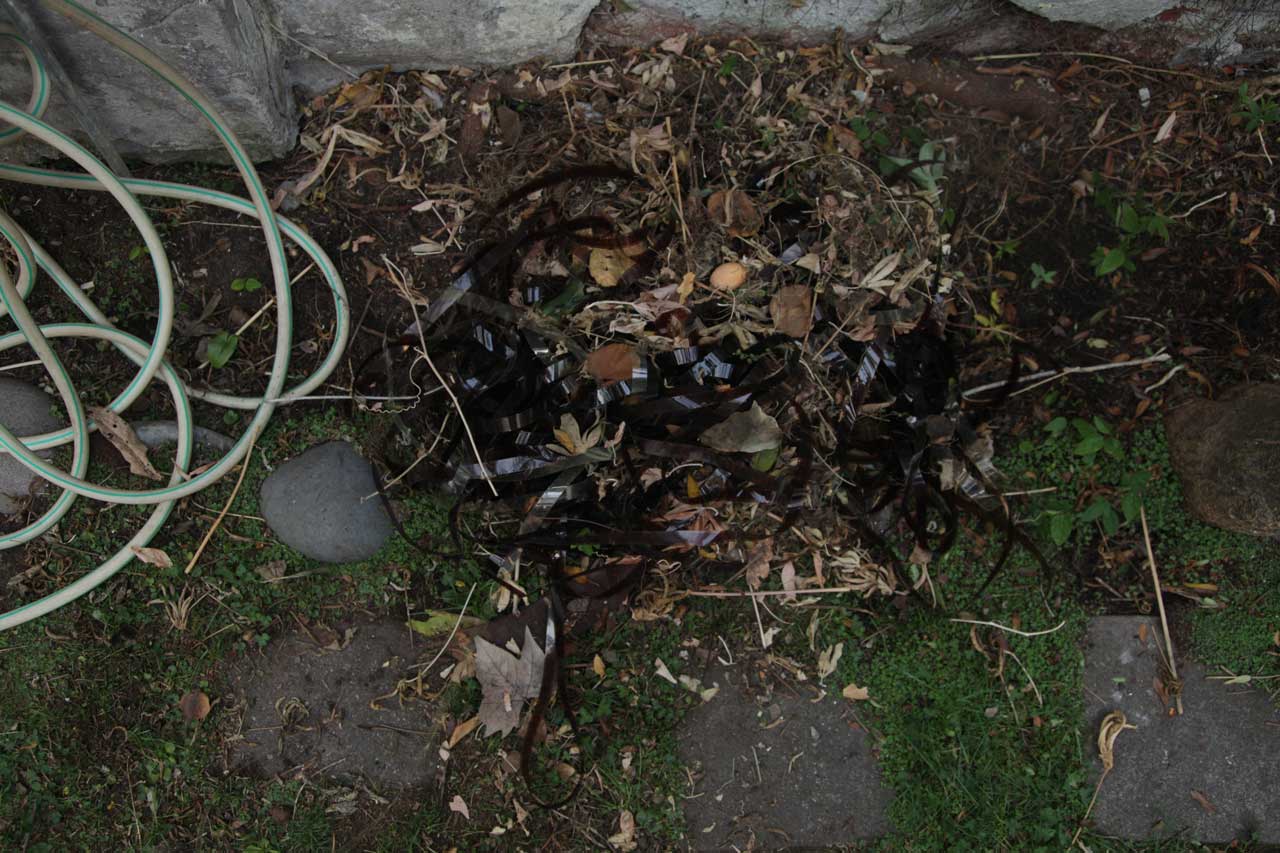 Burials May 2011 (1)