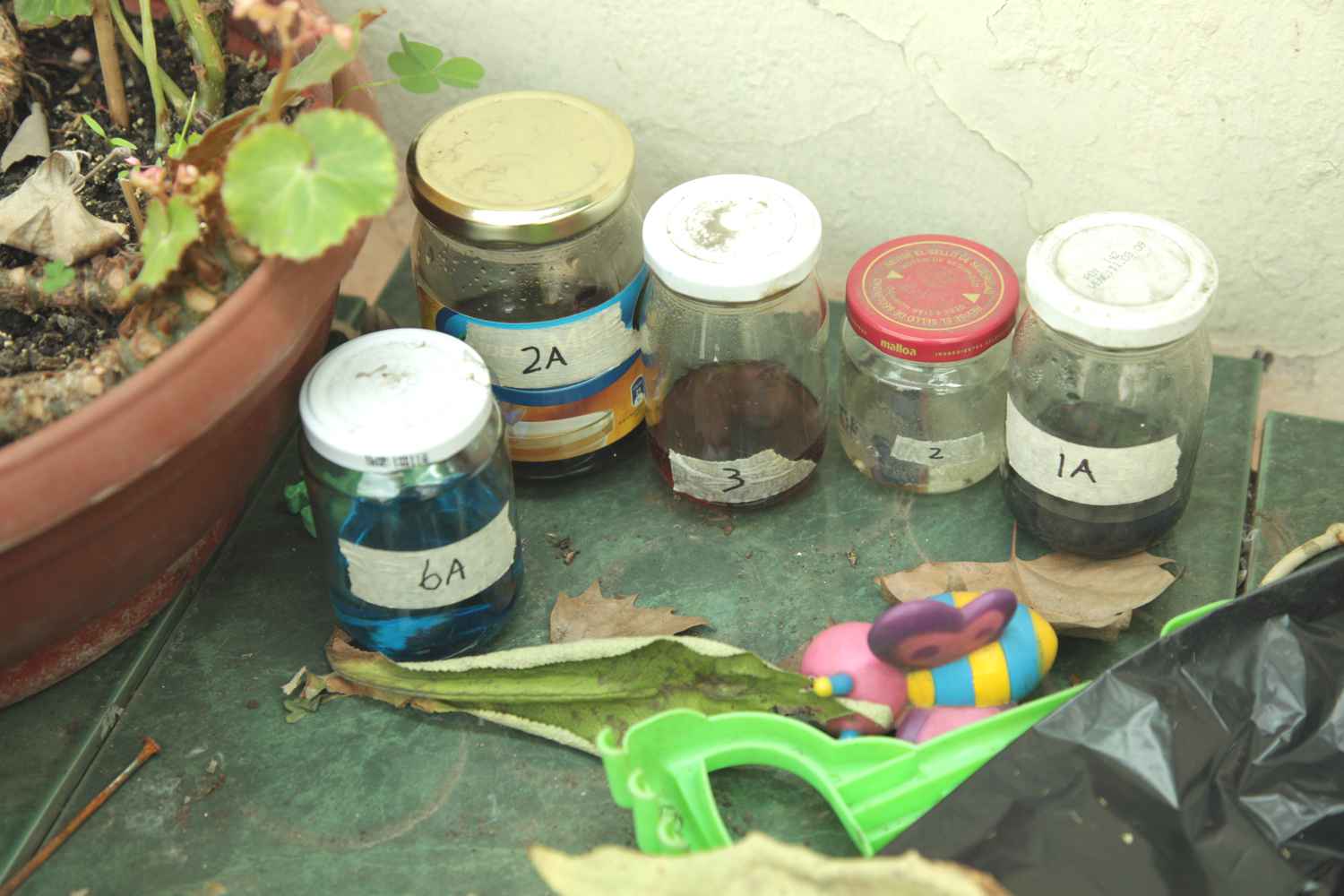 The jars left / Los frascos que quedan