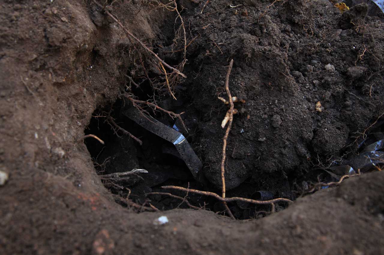 Unearthing 5 & 6 (April 2013)