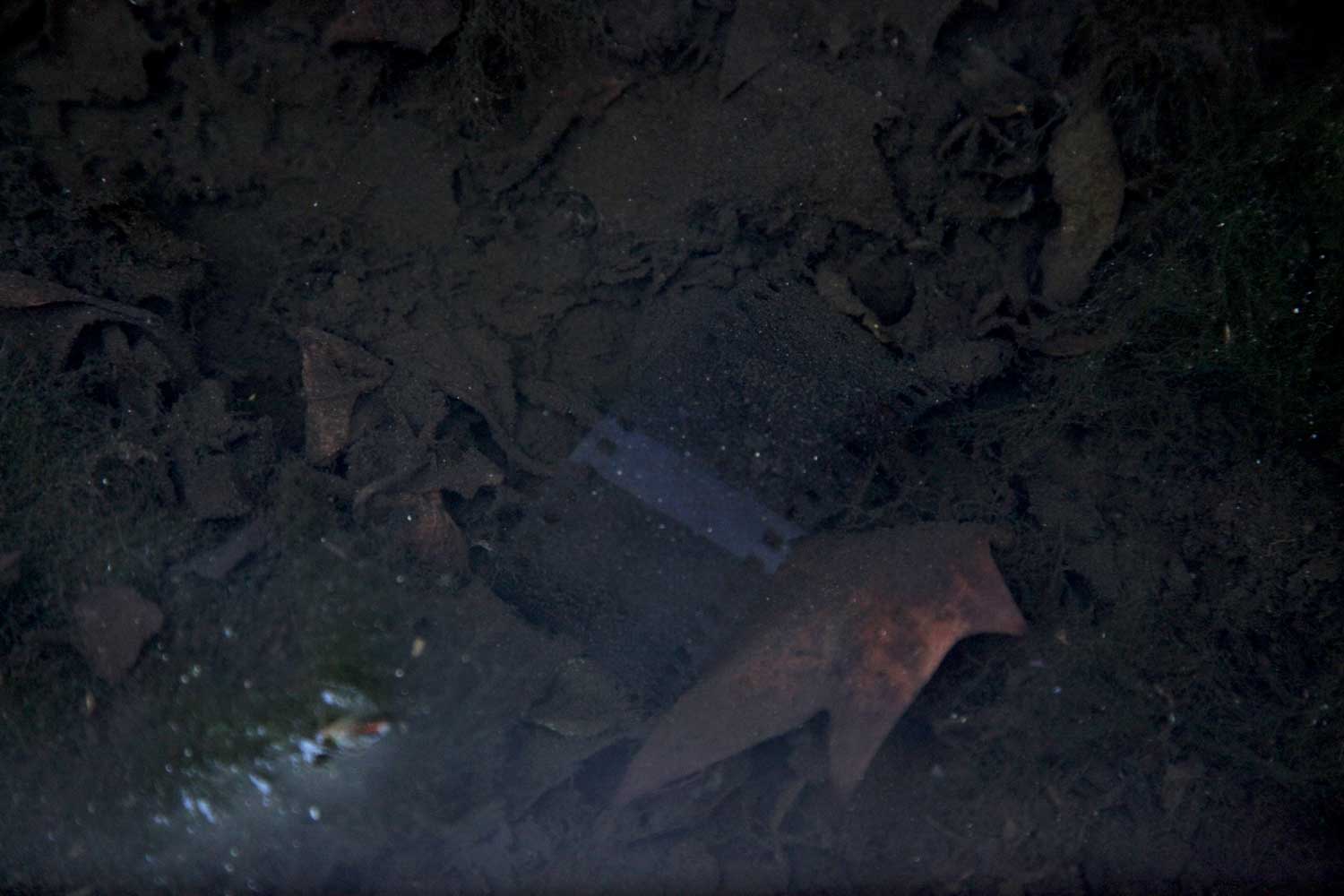 unearthing 3