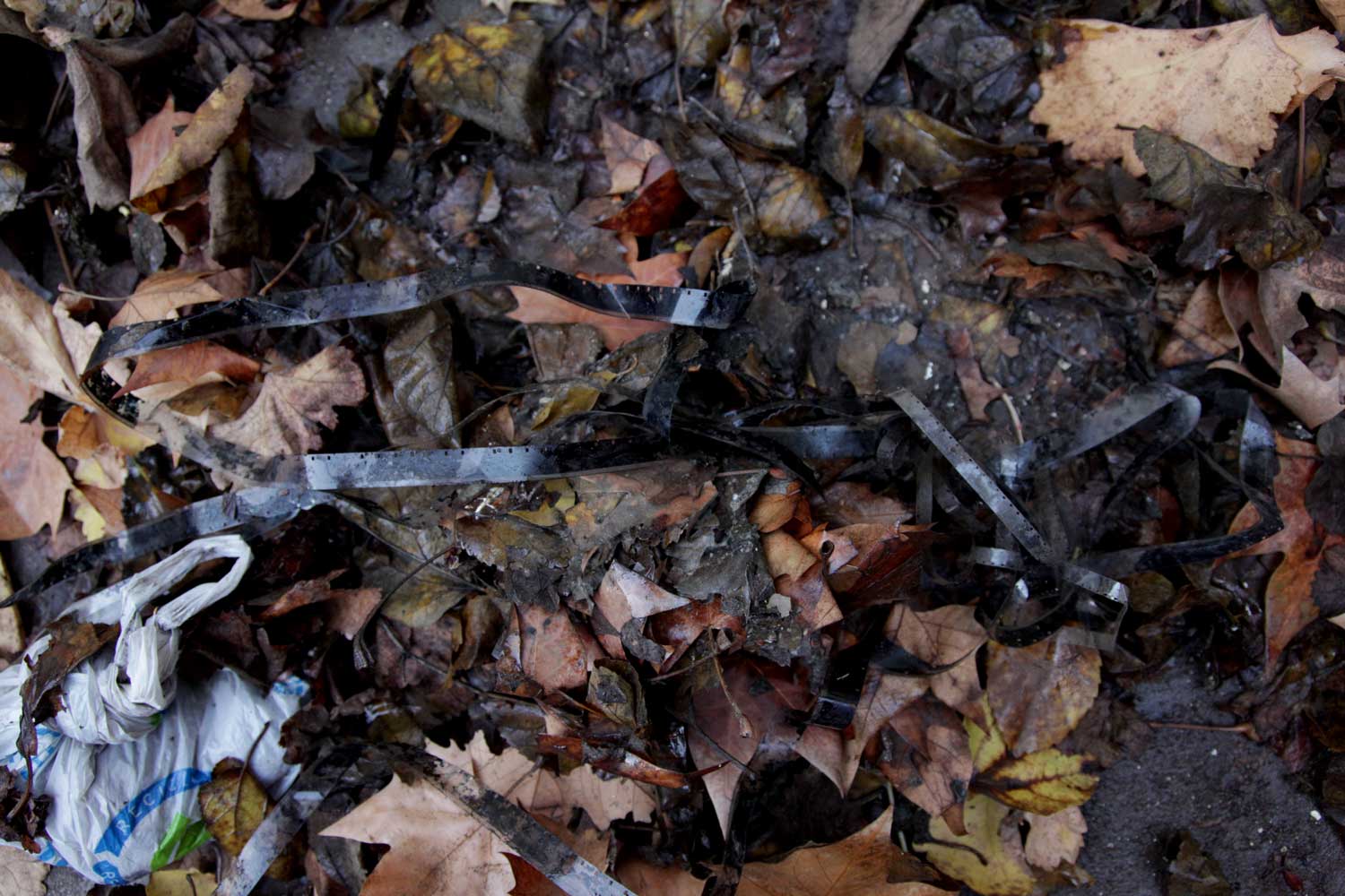 unearthing 3