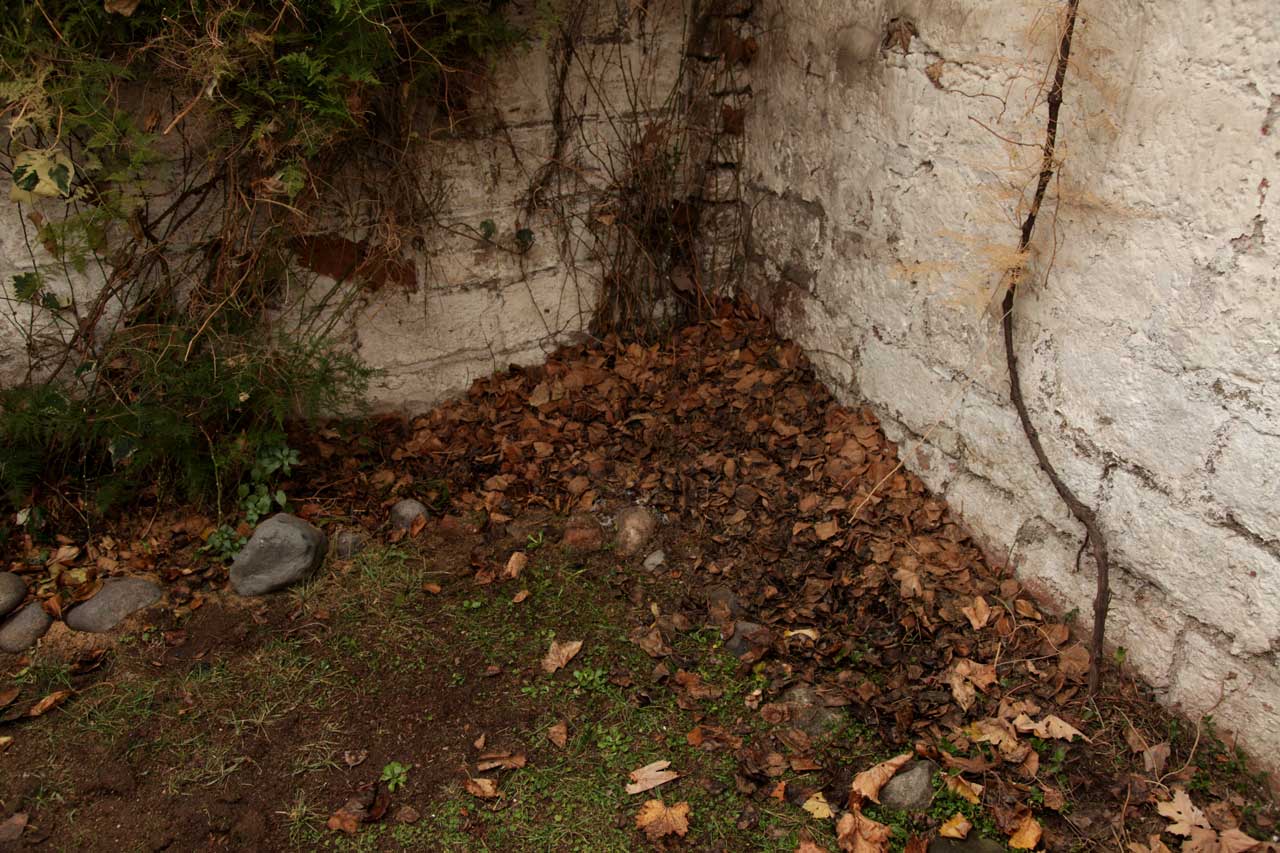 (2) Burials; June 2011