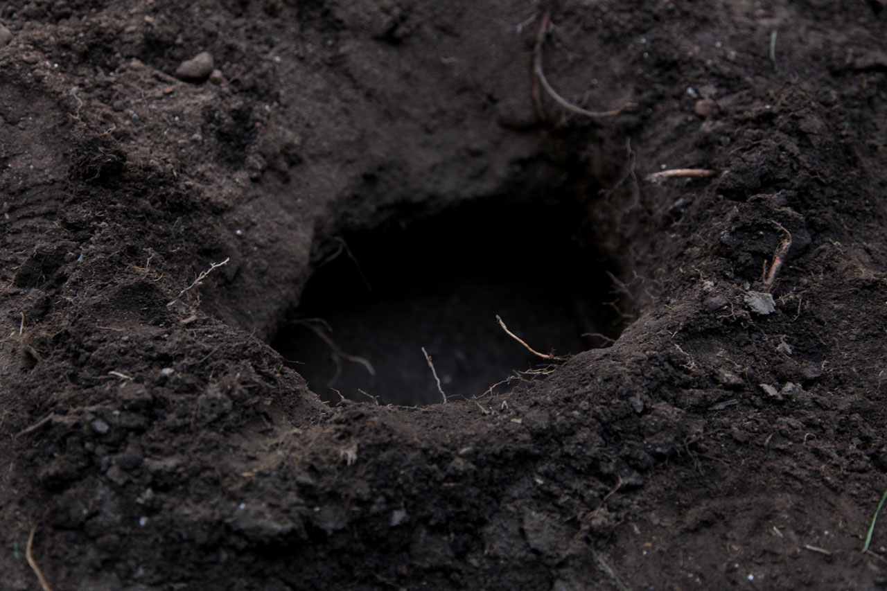 Burials 3,4,5 & 6 (March 2012)