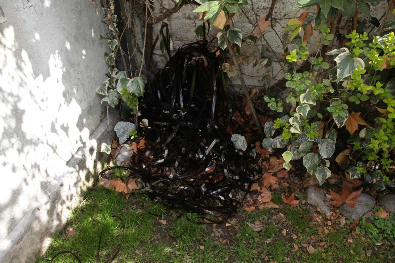 Burial 2 (August 2011)