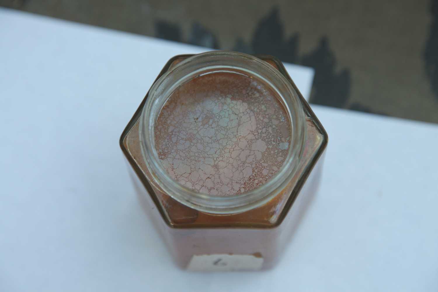 6- rusty bolt / perno oxidado (5 weeks / 5 semanas)