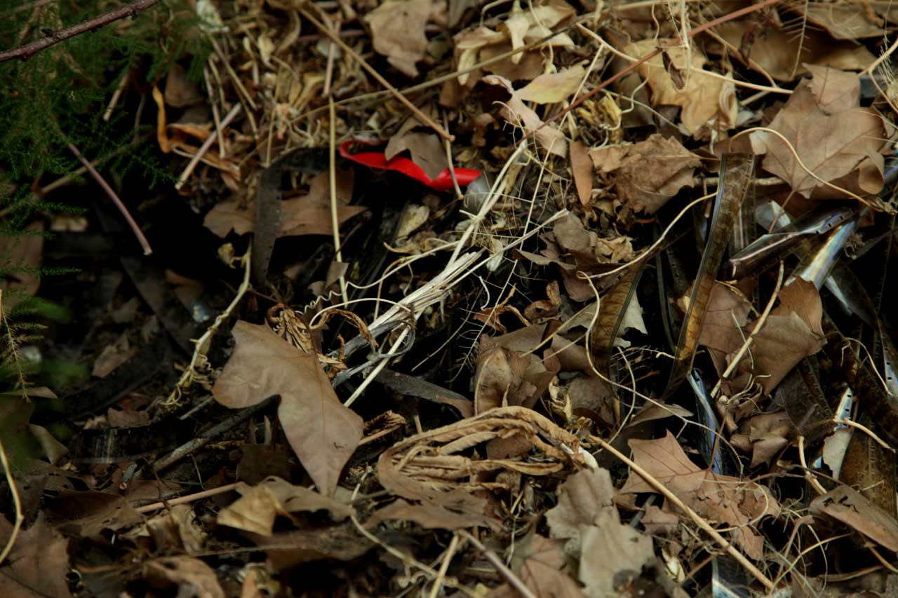 (3) Burials: February 2012