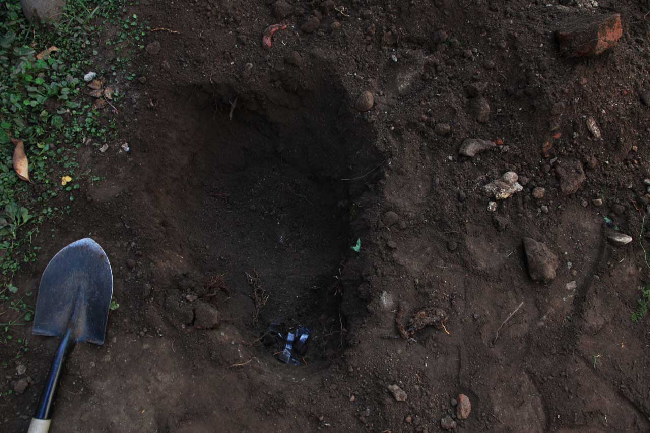Unearthing 5 & 6 (April 2013)