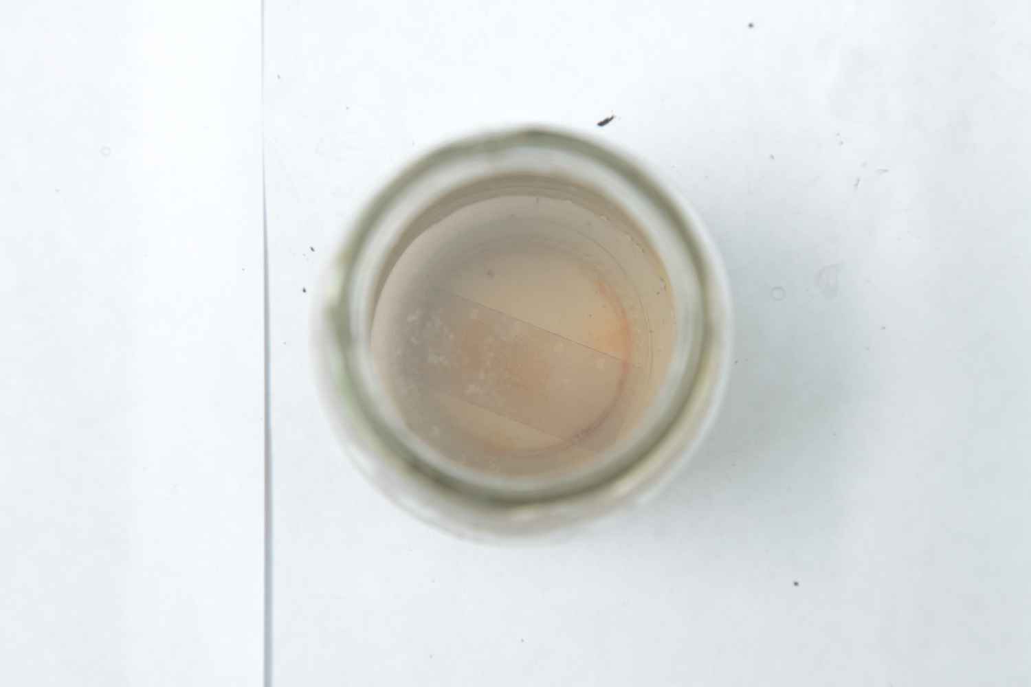 4- sodium bicarbonate / bicarbonato de sodio (17 weeks / semanas)
