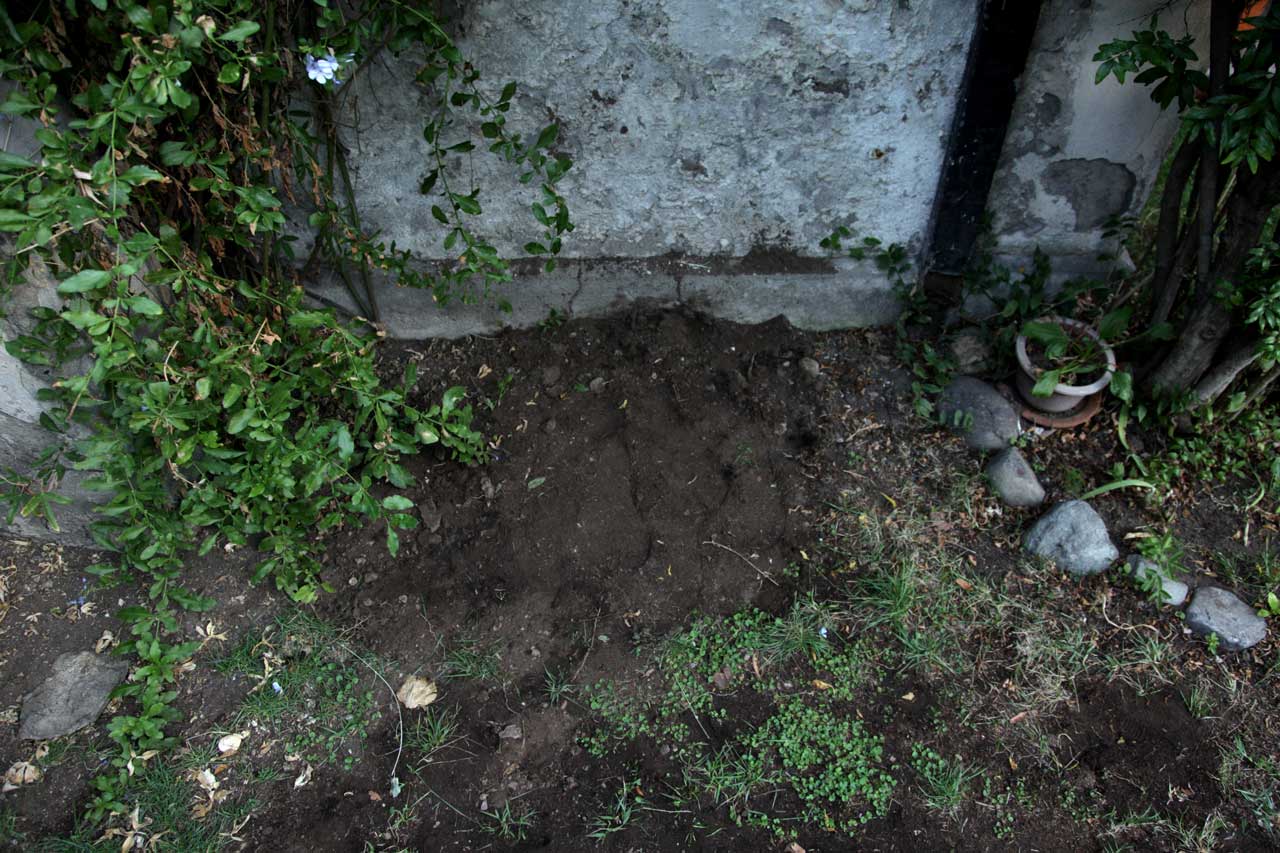 Burials 3,4,5 & 6 (March 2012)