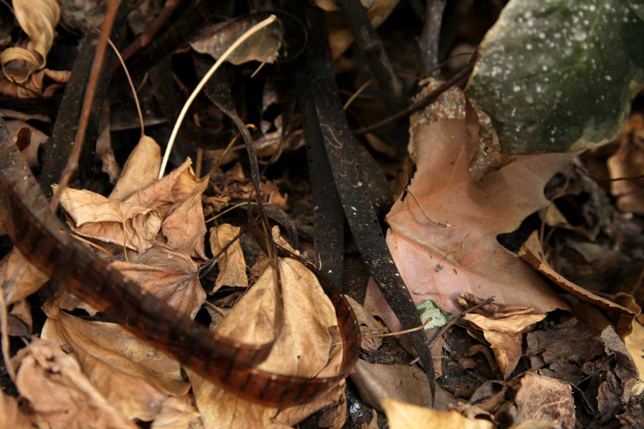 (3) Burials: February 2012