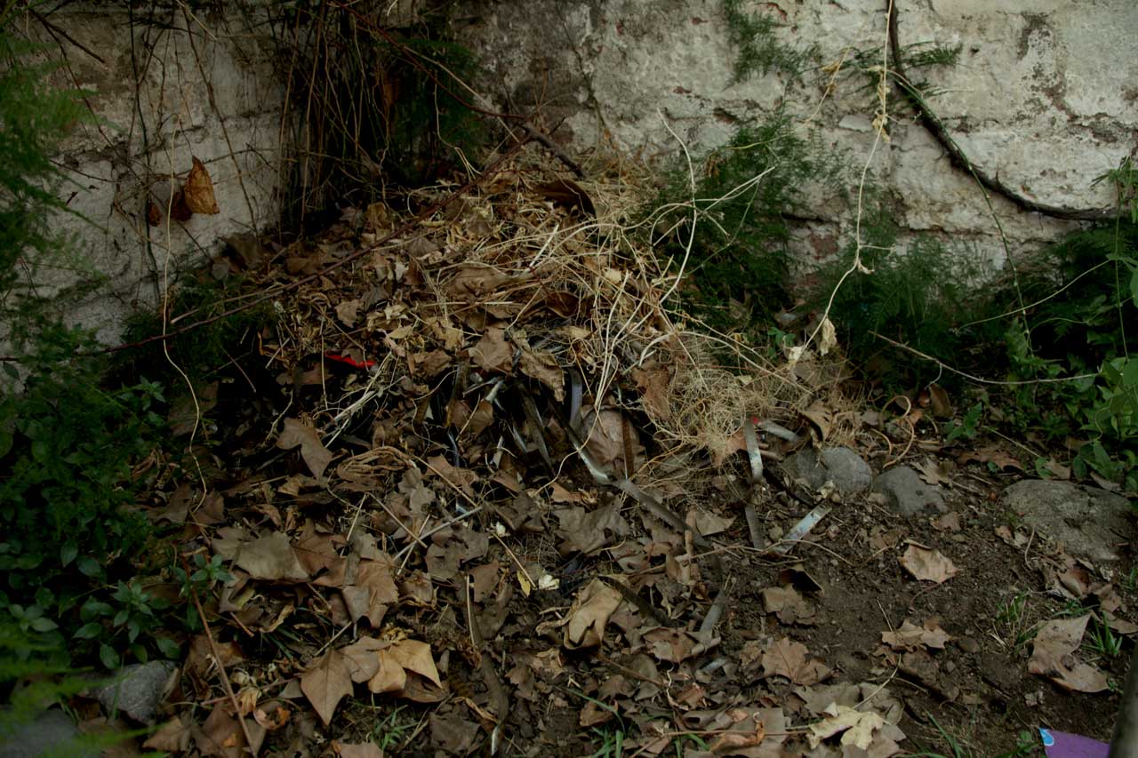 (3) Burials: February 2012