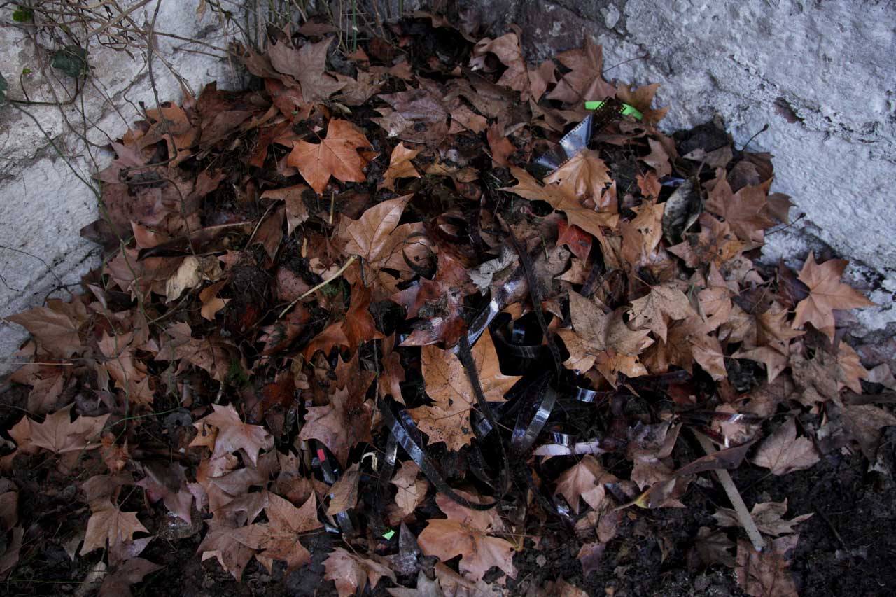 Burial 2 (August 2011)