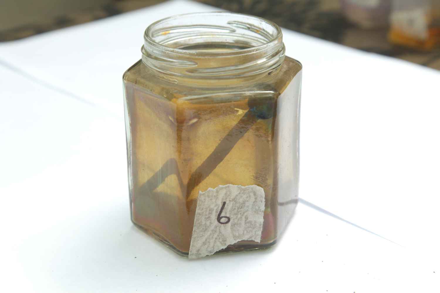 6- rusty nail / perno oxidado (17 weeks / semanas)