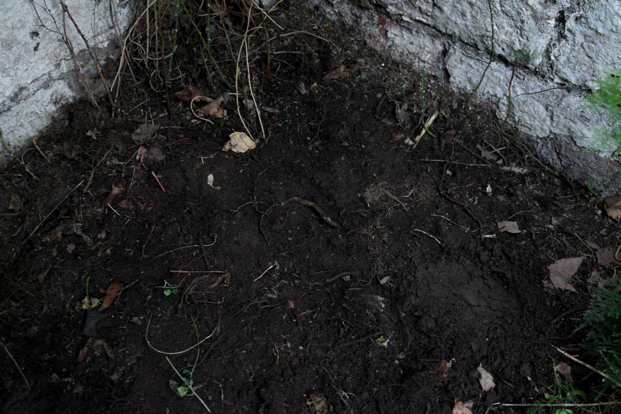 Burials 3,4,5 & 6 (March 2012)
