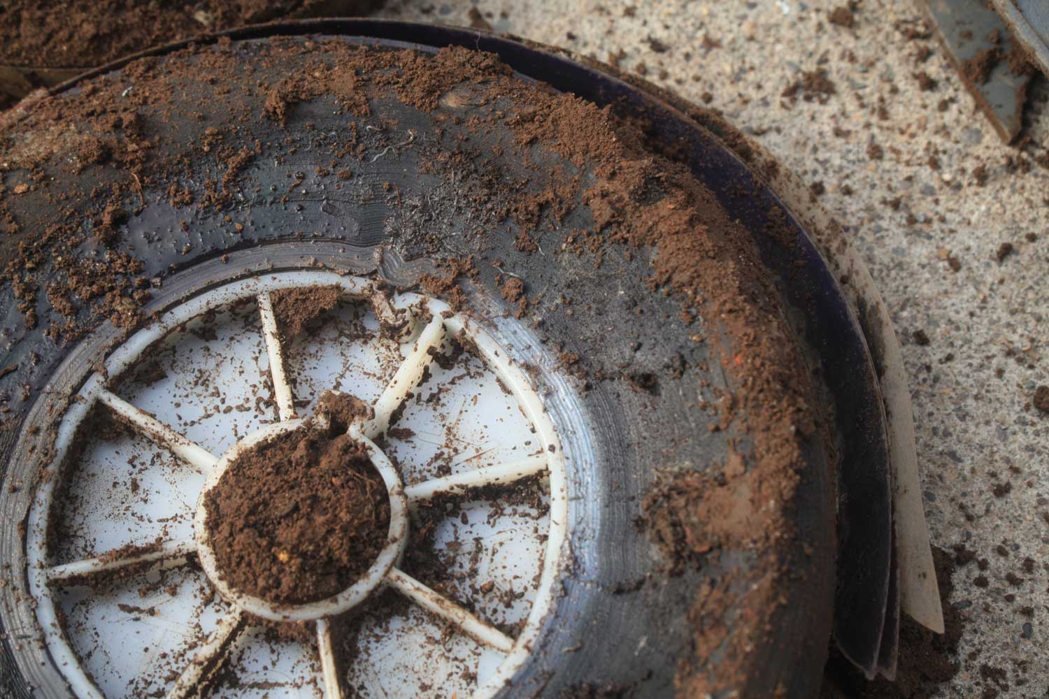 Unearthing 8 (July 2014)