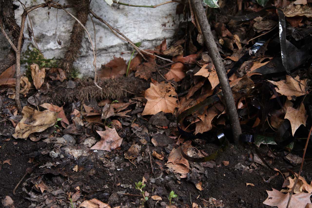 Burial 2 (August 2011)