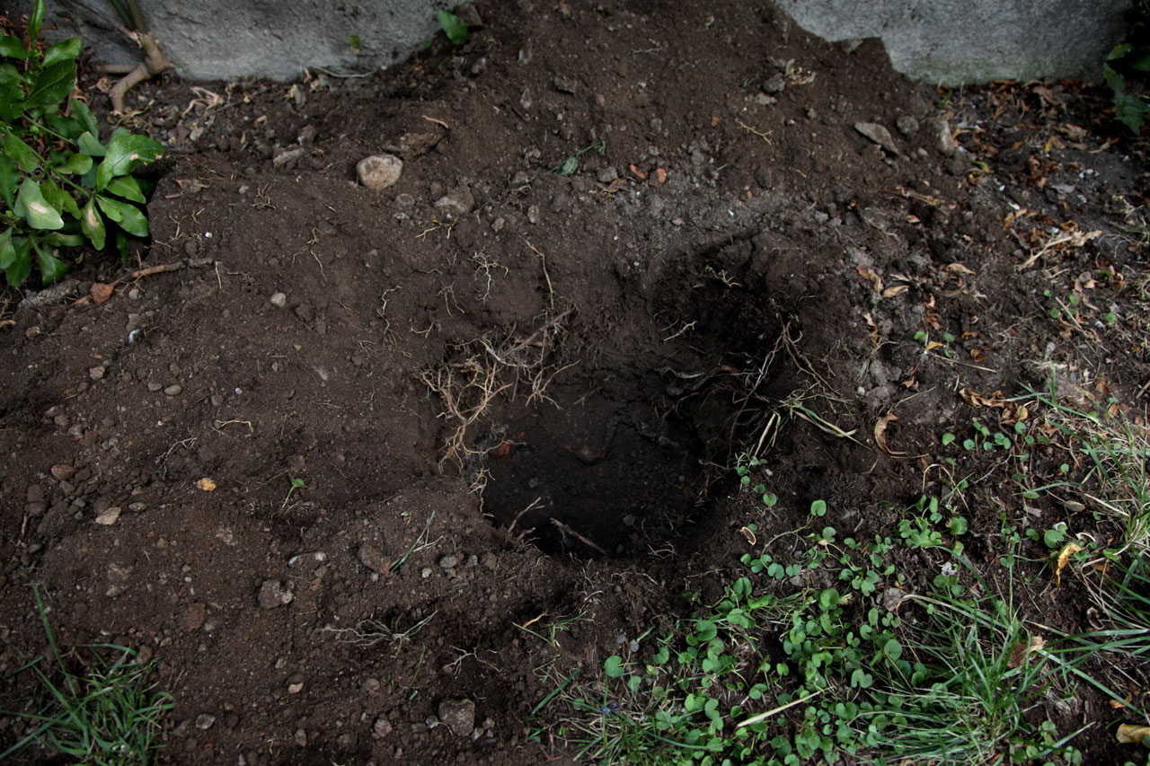 Category: Burials Journal