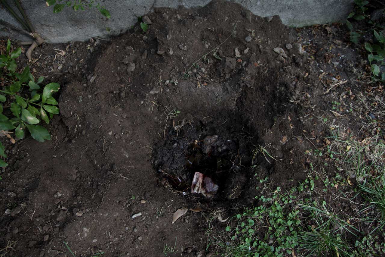Burials 3,4,5 & 6 (March 2012)