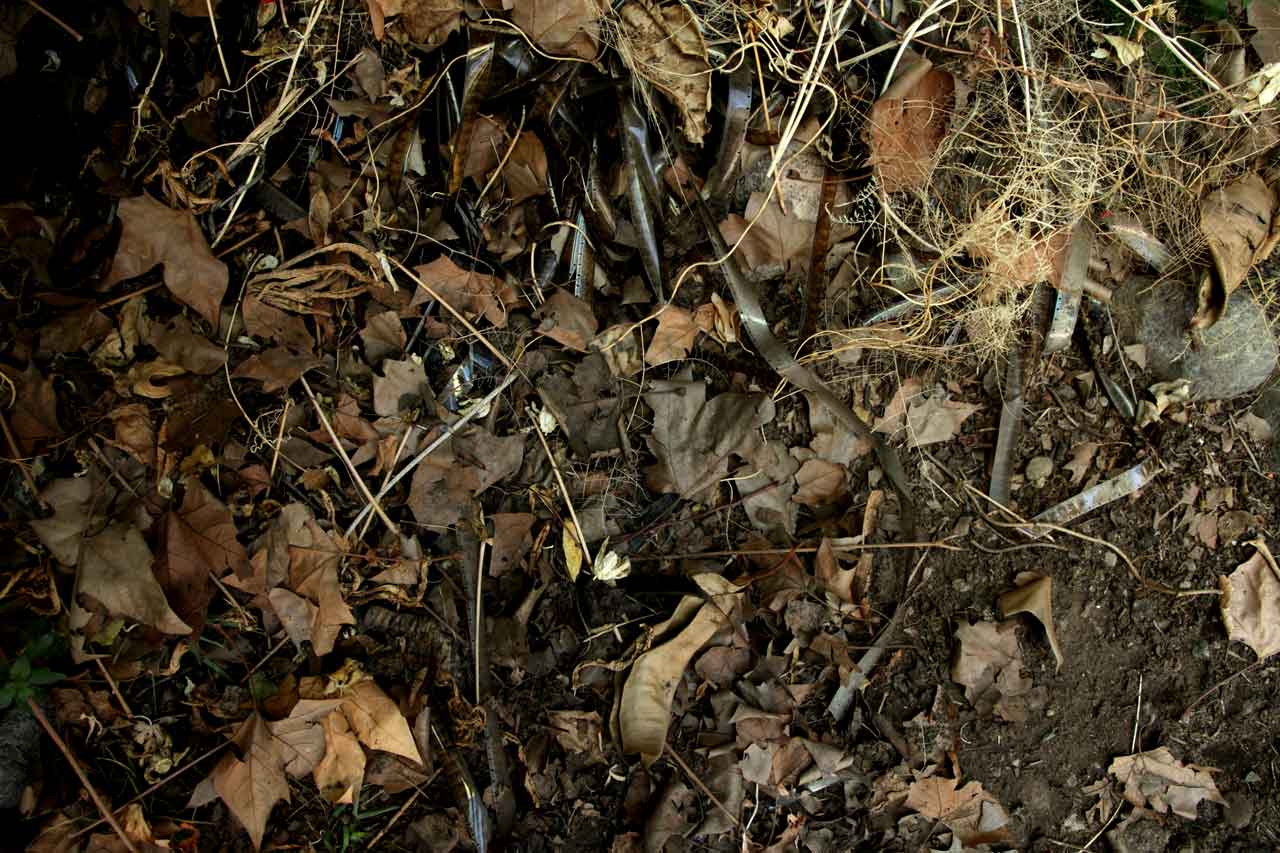 (3) Burials: February 2012