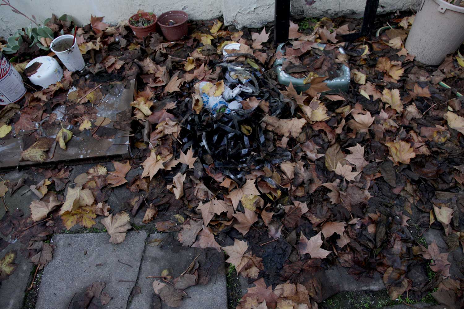 unearthing 3
