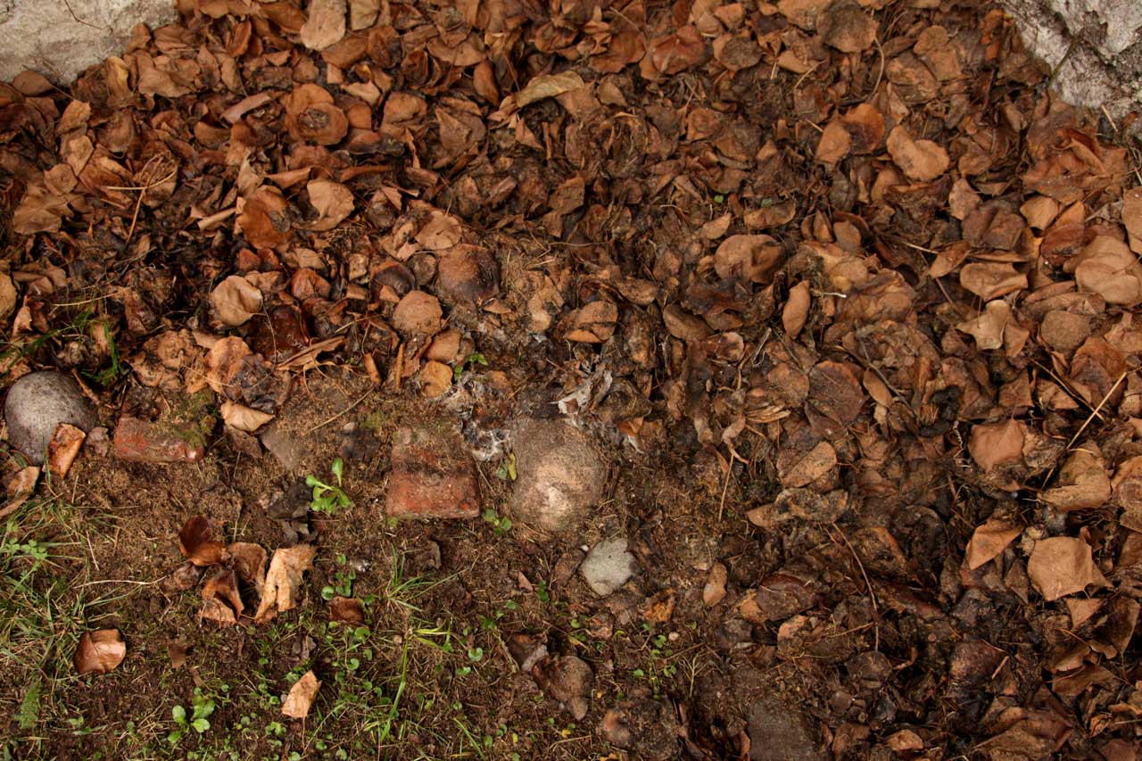 (2) Burials; June 2011