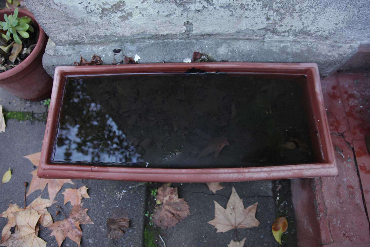 unearthing 3