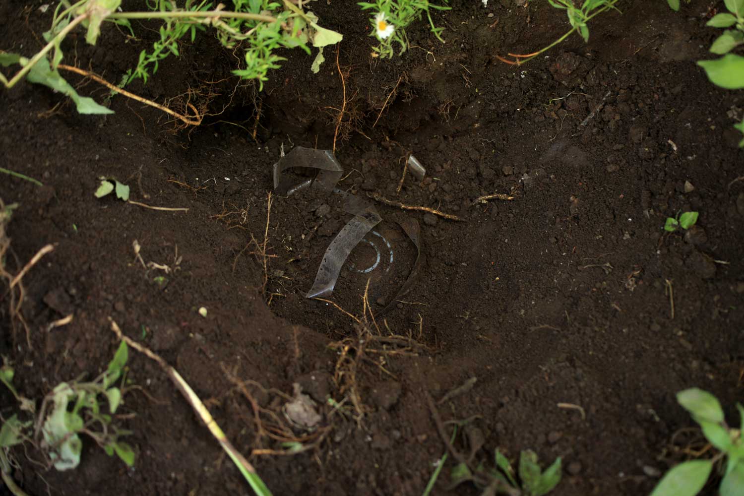 Unearthing 7 (Nov 2013)