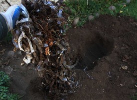 Unearthing 5 & 6 (April 2013)