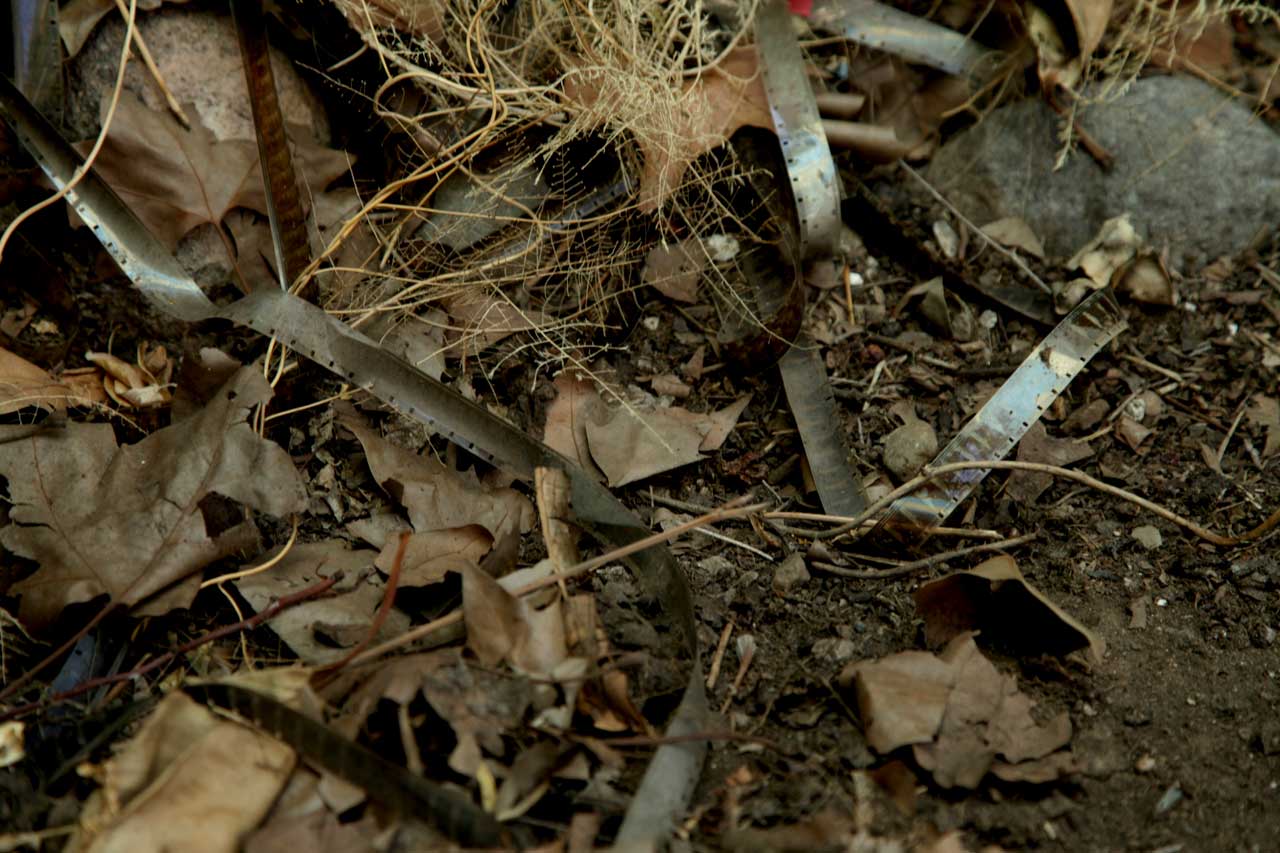 (3) Burials: February 2012