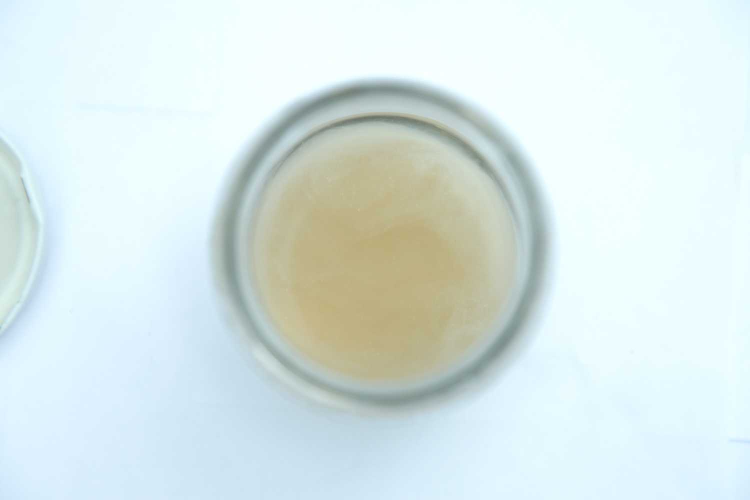 3A- yeast, sugar, sodium bicarbonate / levadura, azúcar, bicarbonato de sodio (3 weeks / semanas)