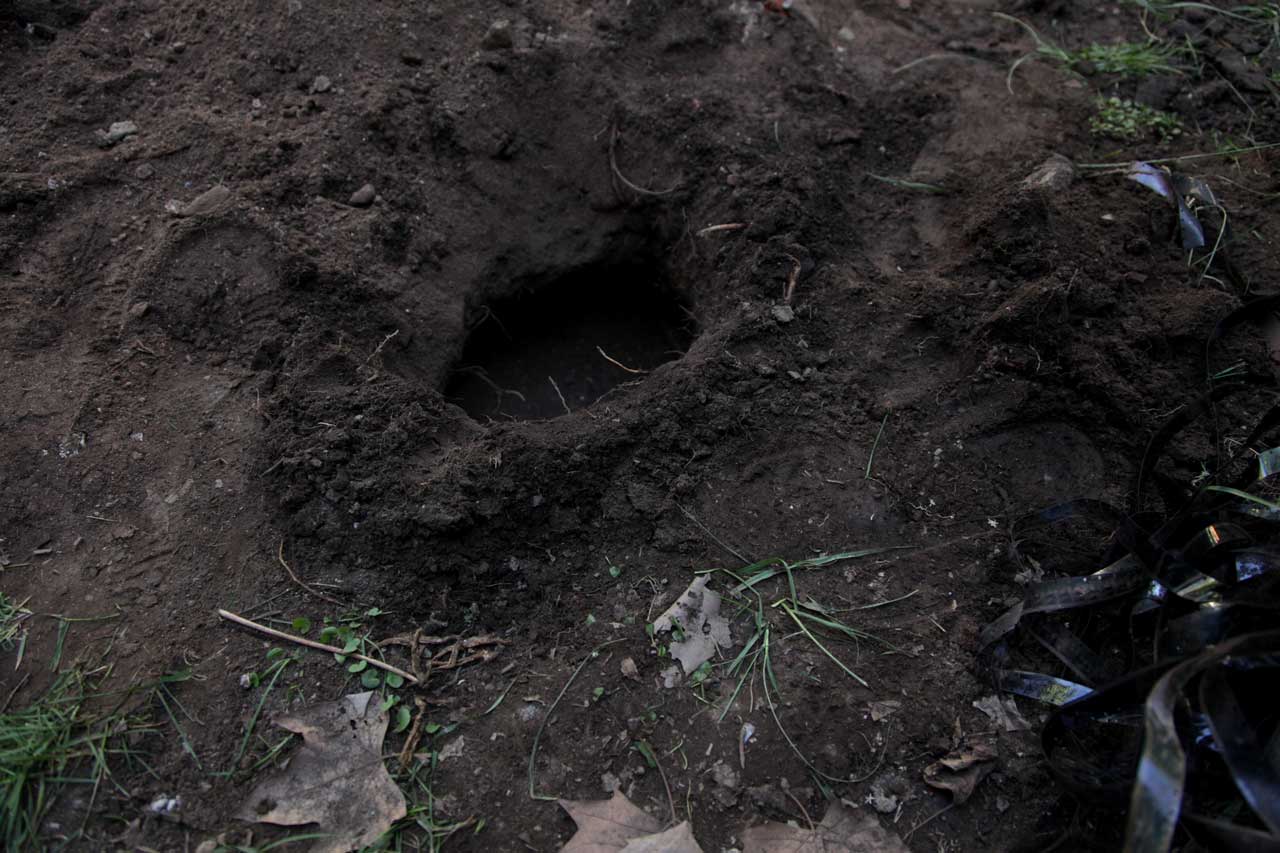 Burials 3,4,5 & 6 (March 2012)