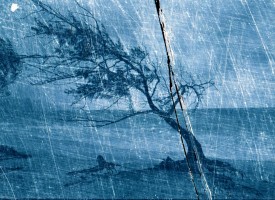 Deluge 3