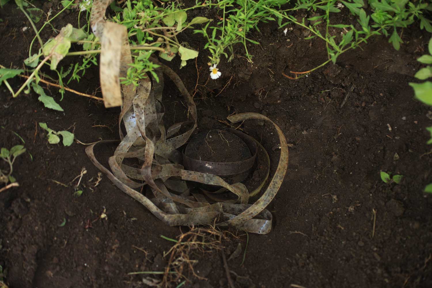 Unearthing 7 (Nov 2013)
