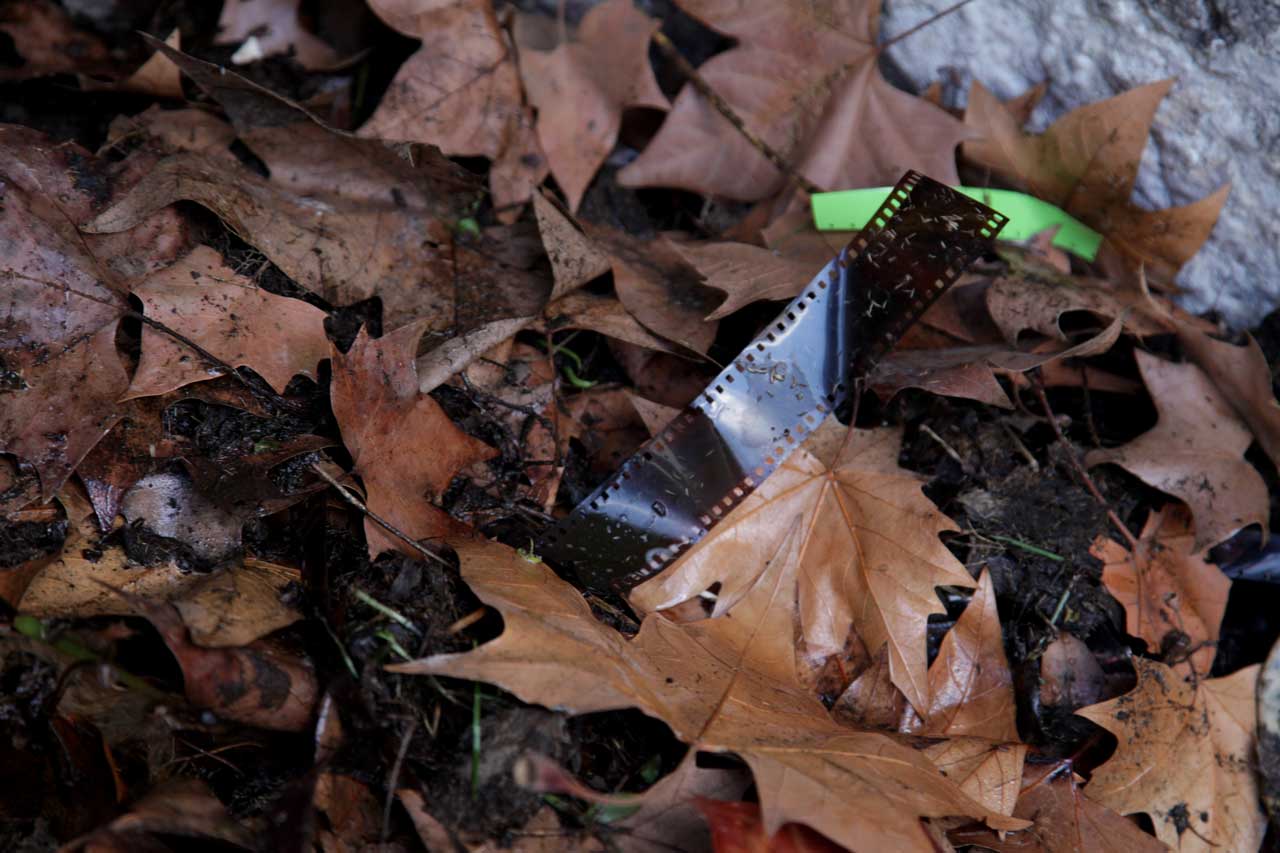Burial 2 (August 2011)