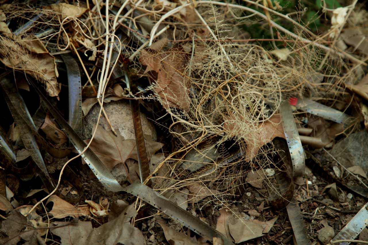 (3) Burials: February 2012