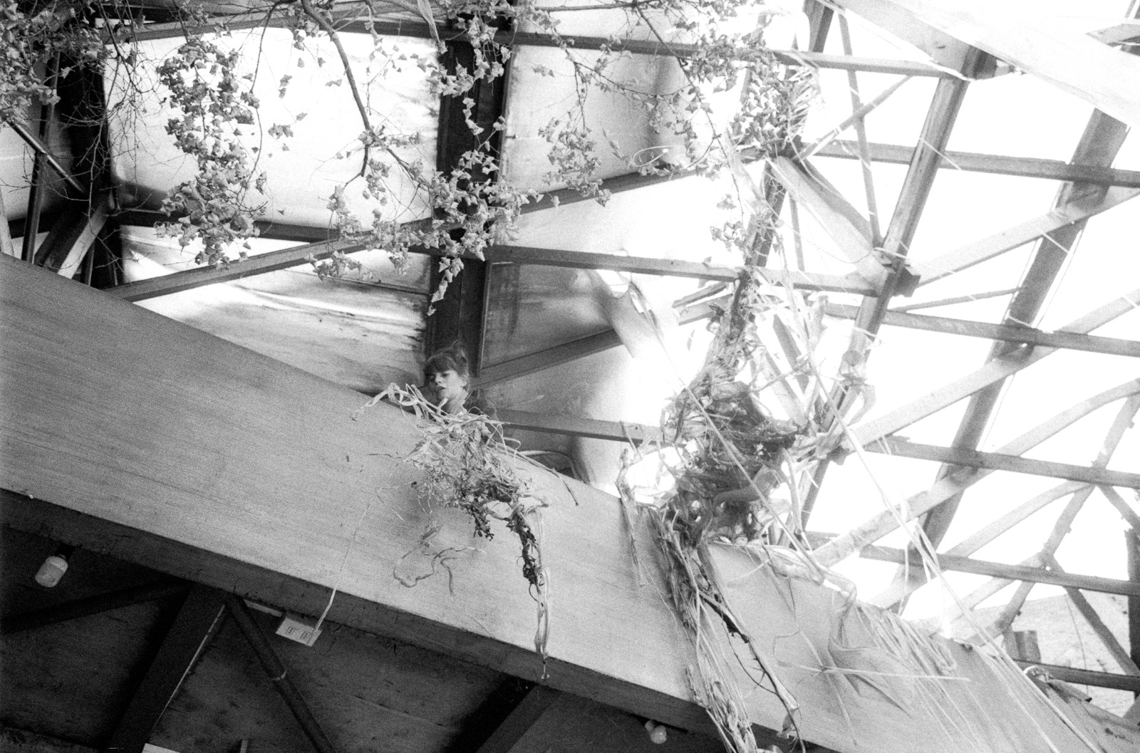 Animalia Paradoxa — process photograph by Sebastián Sánchez, 1