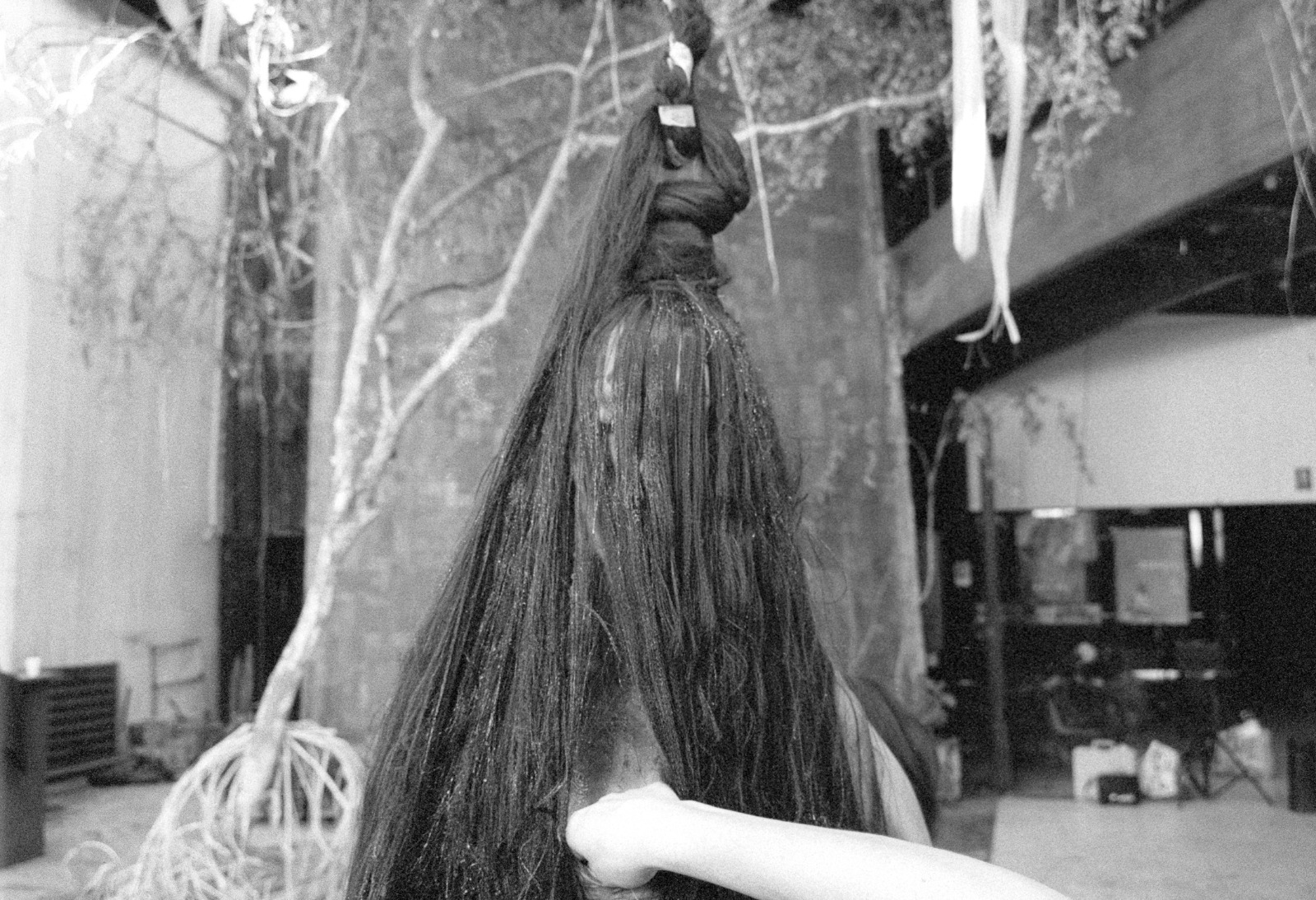 Animalia Paradoxa — process photograph by Sebastián Sánchez, 8