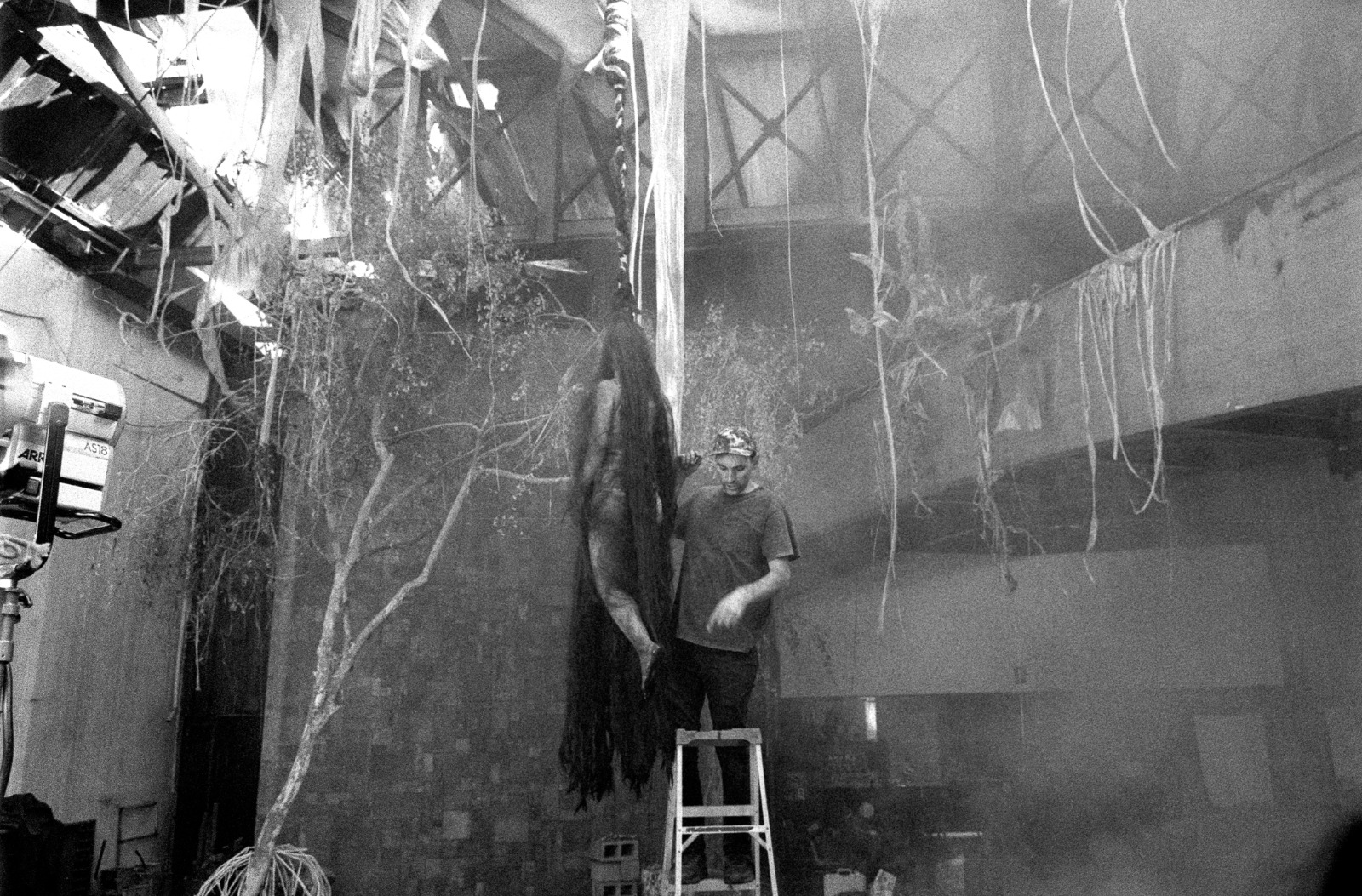 Animalia Paradoxa — process photograph by Sebastián Sánchez, 9