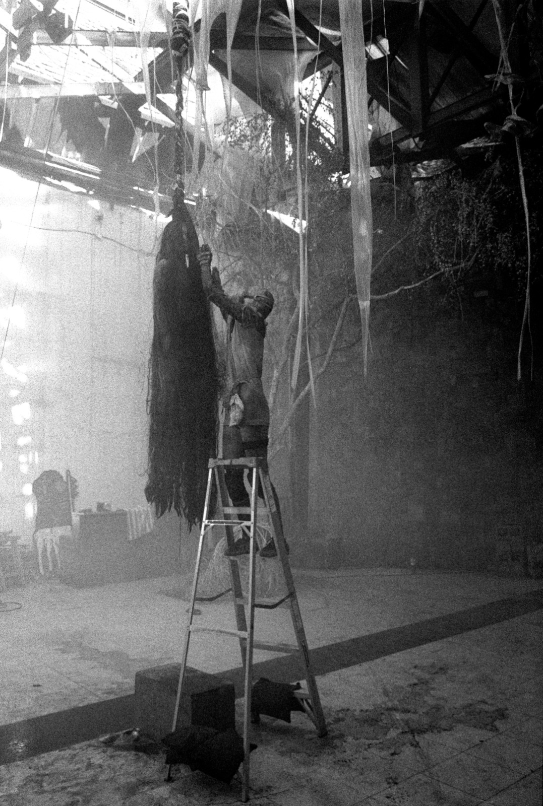 Animalia Paradoxa — process photograph by Sebastián Sánchez, 10