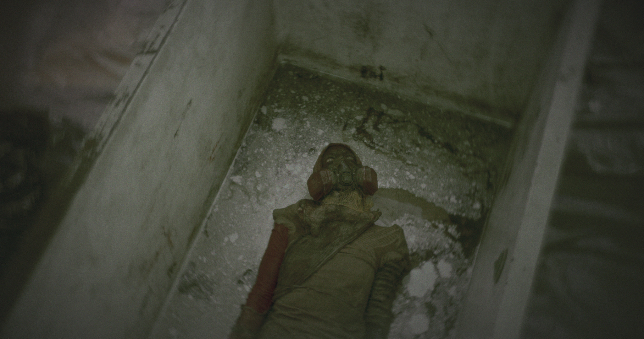 Animalia Paradoxa — film still