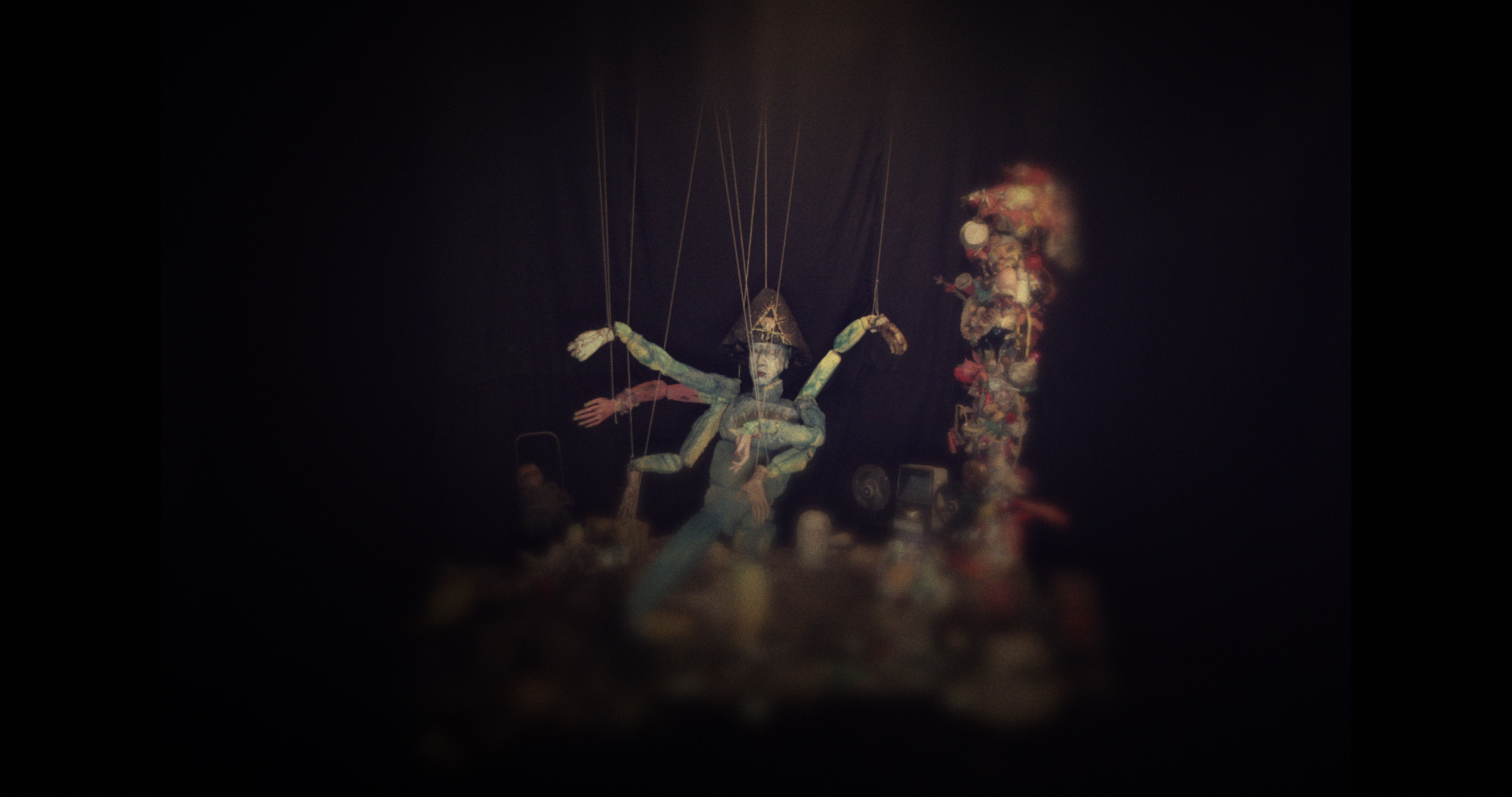 Animalia Paradoxa — film still 7