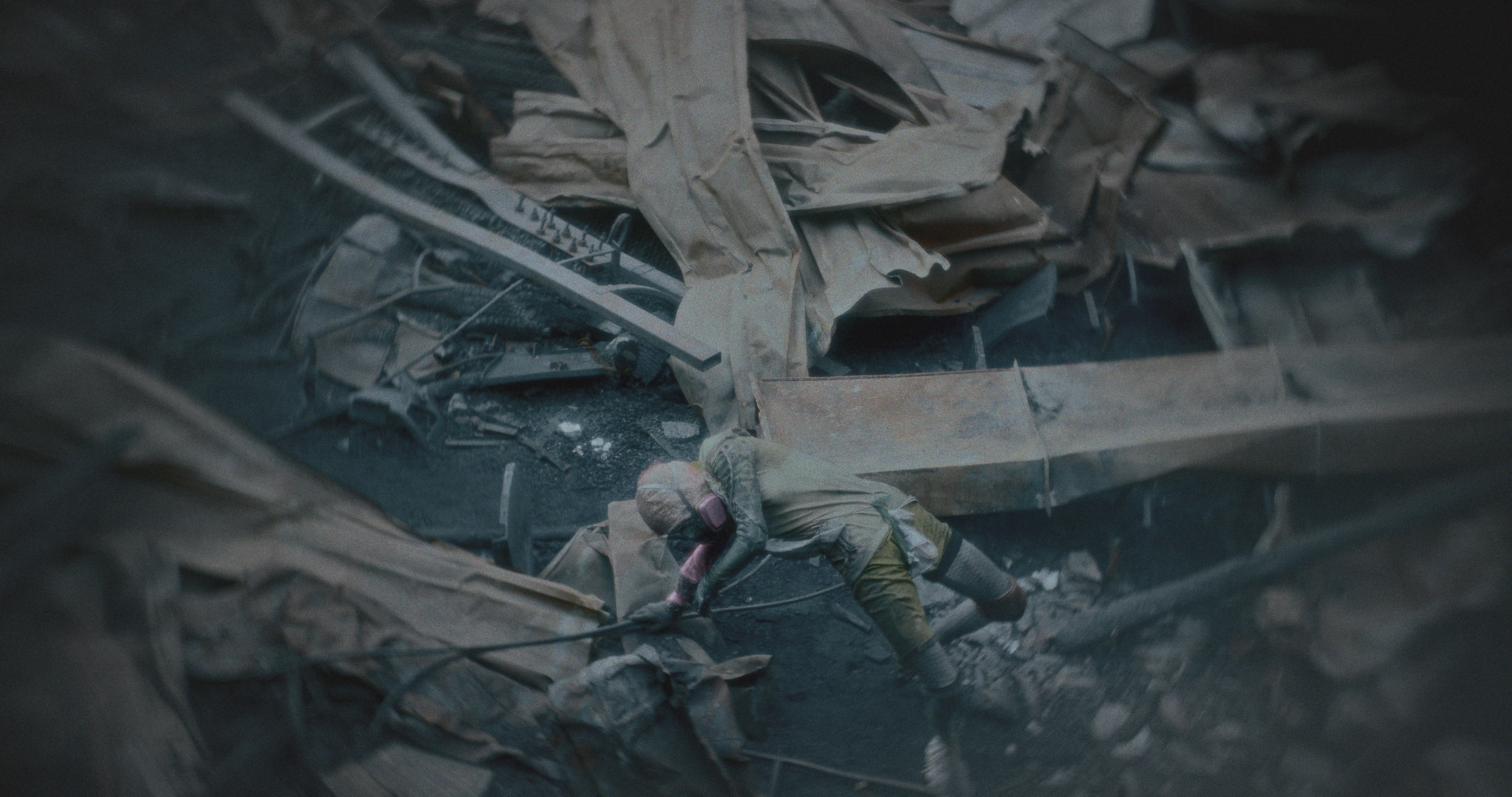 Animalia Paradoxa — film still 8