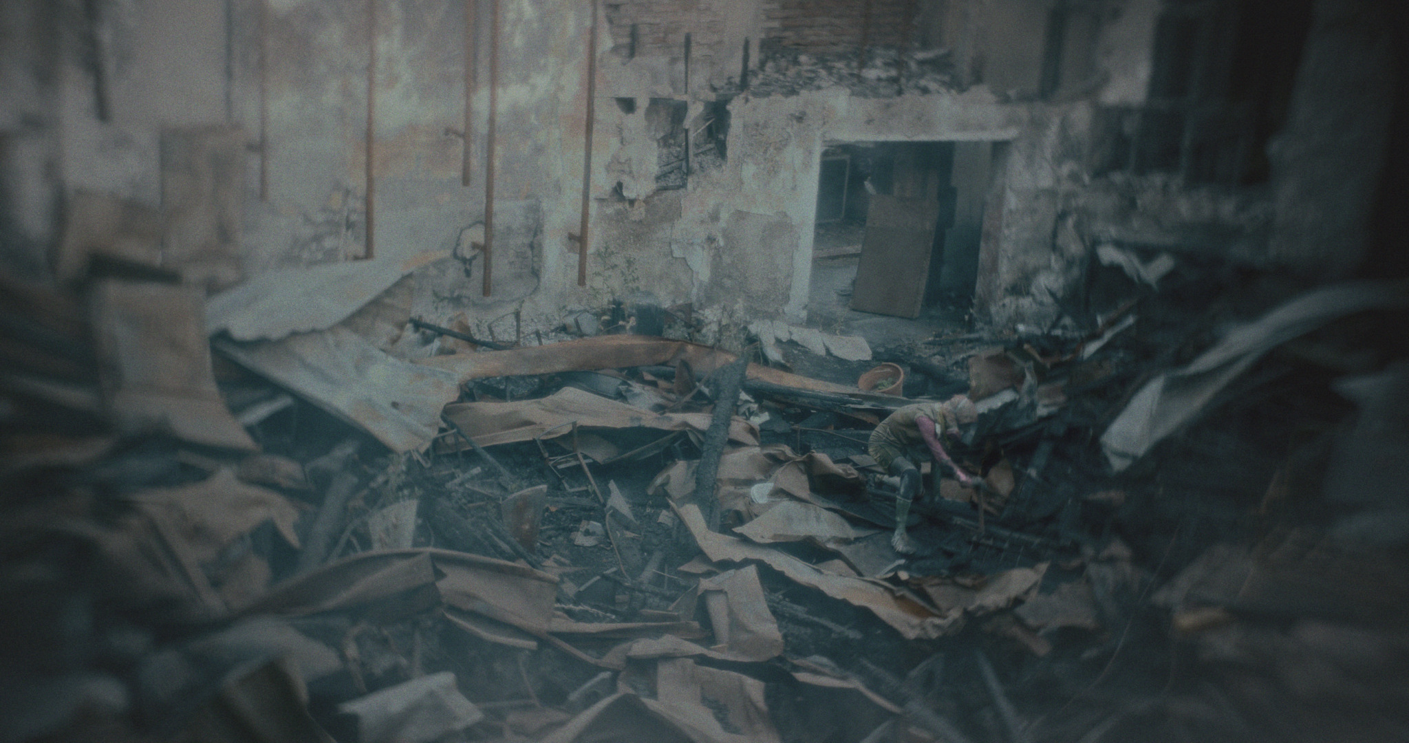 Animalia Paradoxa — film still 9