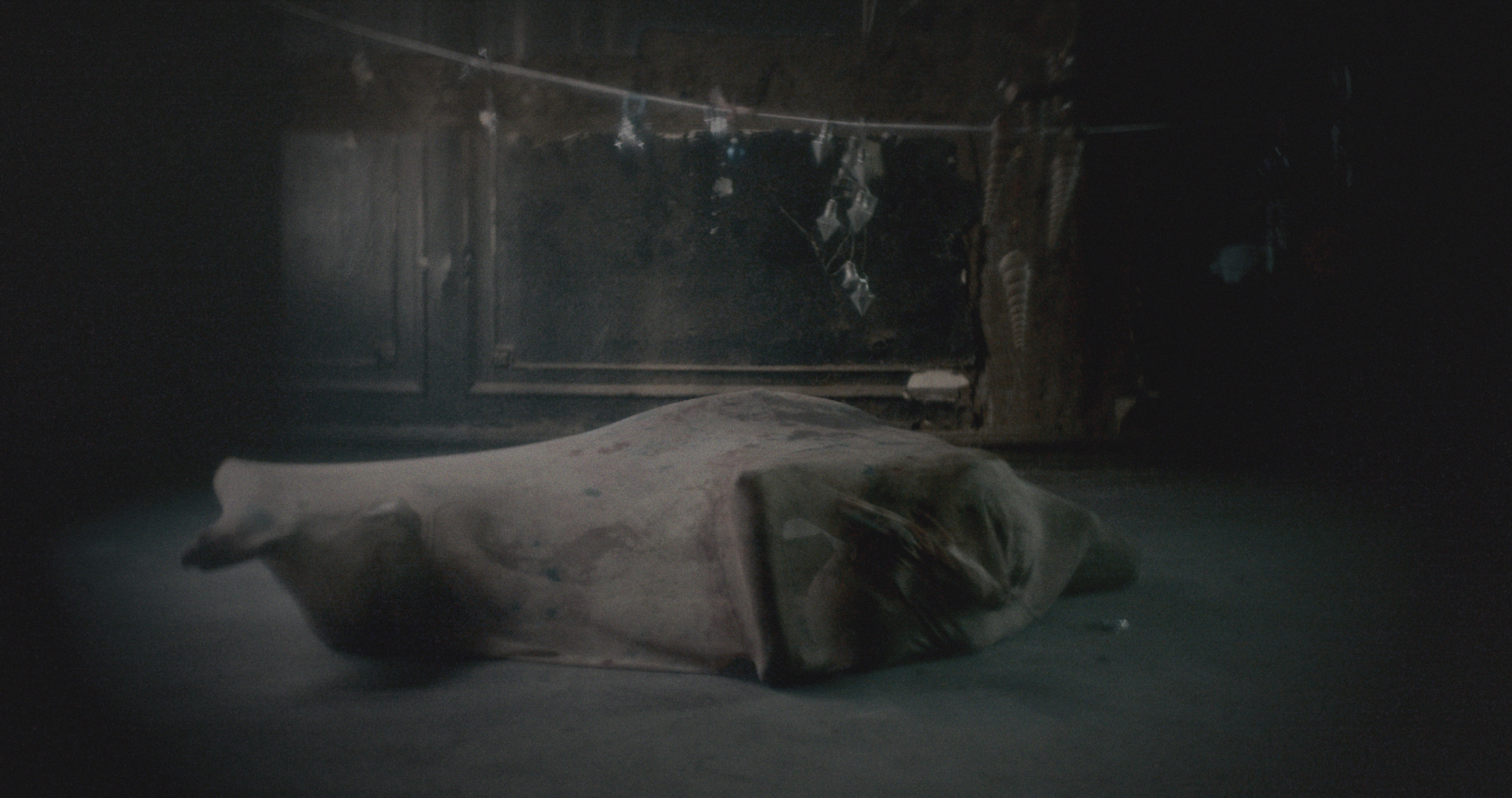 Animalia Paradoxa — film still 11